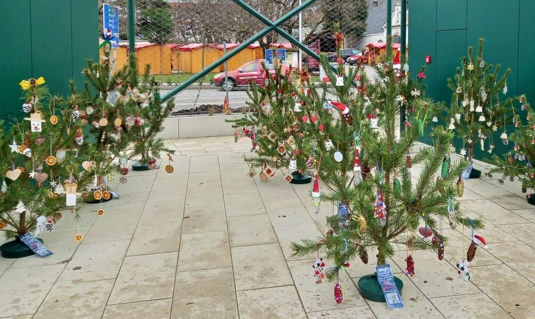 Vianočné stromčeky zdobili mesto