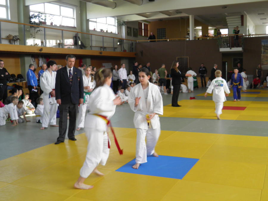 Majstrovstvá BSK v judo žiakov a žiačok